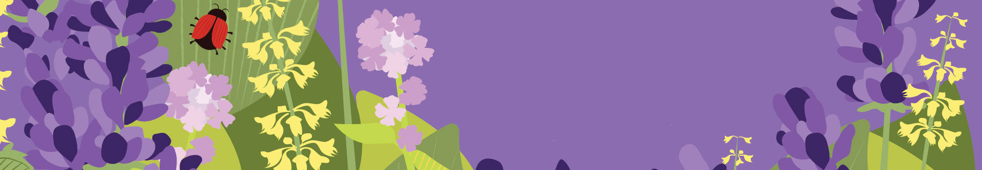 Decorative border with purple lavender and tulsi flowers and a red ladybug on a purple background.